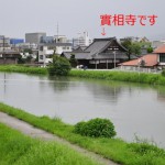 實相寺裏の川の様子