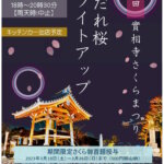 【お知らせ】實相寺さくらまつり　しだれ桜ライトアップ
