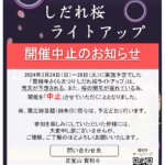 【開催中止のお知らせ】實相寺さくらまつり　しだれ桜ライトアップ